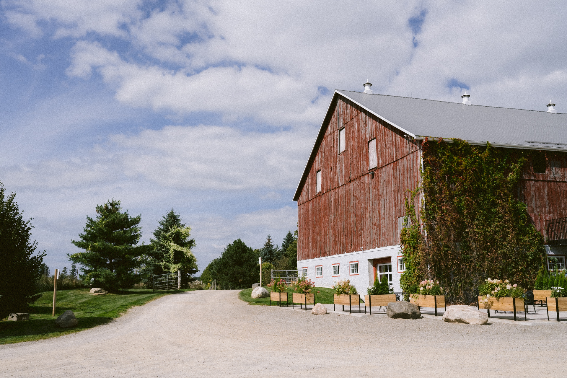 A sunny day with lush greenery as backdrop for a Cambium Farms wedding.